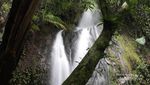 Mengunjungi Air Terjun dengan Jalur Menantang di Lembah Harau