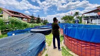 Di kolam budidaya Ikan Lele Eco Pesantren Daarut Tauhid. Sumber: dokumentasi pribadi