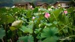 Mengunjungi Kampungnya Mulan di China, Rumah Tulou