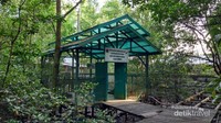 Tempat persemaian bakau