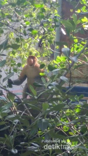 Mengunjungi Maskot Dufan di Tarakan