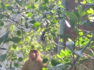 Mengunjungi Maskot Dufan di Tarakan
