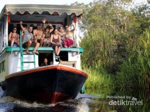 Mengunjungi Rumah Orangutan di Kalimantan Tengah