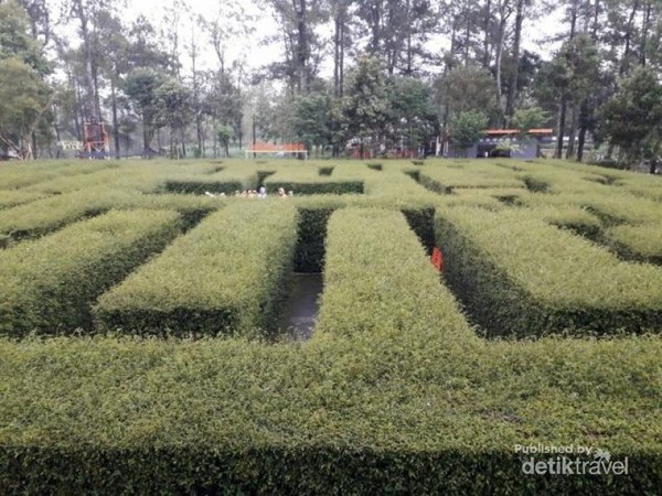 Mengunjungi Taman Labirin di Malang yang Asyik