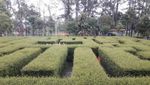 Mengunjungi Taman Labirin di Malang yang Asyik