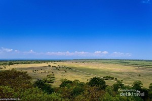 Menikmati Afrika di Taman Nasional Baluran