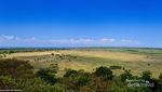 Menikmati Afrika di Taman Nasional Baluran