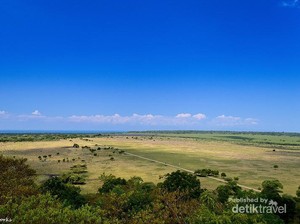 Menikmati Afrika di Taman Nasional Baluran
