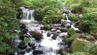 sungai kecil dibawah jembatan merah