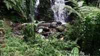 air terjun pertama