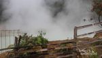 Menikmati Alam yang Tenang di Puncak Darajat