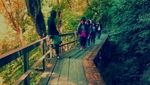 Menikmati Anggunnya Curug Lawe, Semarang