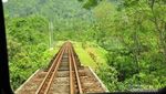 Menikmati Banyuwangi Naik Lori, Seru!