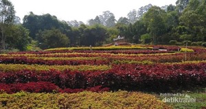 Menikmati Cantiknya Lembang di Akhir Pekan