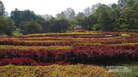 Salah satu suasana di Dusun Bambu