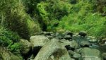 Menikmati Curug Citambur Langsung dari Mata Airnya