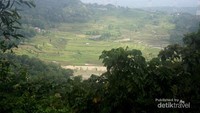 Cantiknya persawahan bagian barat