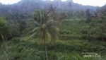 Menikmati Gunungkidul di Puncak Gunung Api Purba Nglanggeran