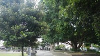 Jogging Track yang bersih
