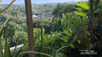 Pemandangan Hijau dari Warung Taru