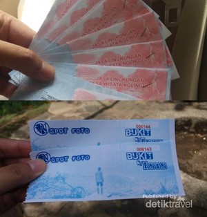 Menikmati Hijaunya Perkebunan Teh Nglinggo di Kulon Progo