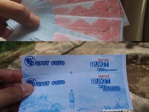Menikmati Hijaunya Perkebunan Teh Nglinggo di Kulon Progo