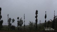 Kabut Posong