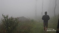 Menikmati kabut