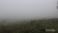 Kabut