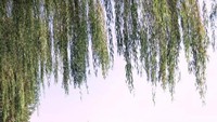 Photo dengan latar Pagoda Leifeng