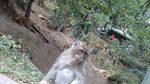 Menikmati Keselarasan Alam di Grojogan Sewu, Jateng