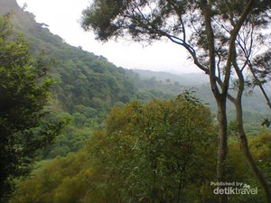 Menikmati Ketenangan di Pedesaan Taichung, Taiwan