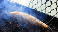 Sebelum disajikan menjadi Holat, ikan dibakar hingga matang tetapi tidak gosong.