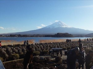 Menikmati Musim Dingin di Jepang yang Ramah Muslim