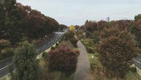 Suasana jalanan di Tachikawa saat musim gugur.
