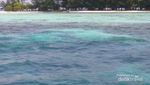 Menikmati Pesona Karimunjawa
