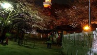 Tokyo Tower di malam hari