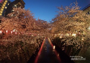 Menikmati Sakura di Tempat-tempat yang Tak Biasa