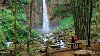 Panorama alam nan sejuk di sekitar air terjun