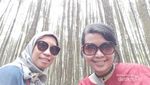 Menikmati Segarnya Hutan Pinus Cantik di Bantul