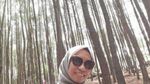 Menikmati Segarnya Hutan Pinus Cantik di Bantul