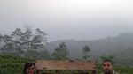 Menikmati Segarnya Kebun Teh Nglinggo di Kulon Progo