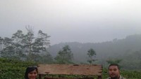 Berfoto dengan latar belakang kebun teh