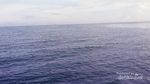 Menikmati Senja di Pelabuhan Leppe, Sulsel
