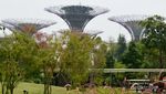 Menikmati Singapura dari Ketinggian OCBC Skyway