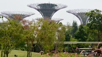 Penampakan Supertree Grove dan OCBC Skyway dari jauh