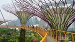 Menikmati Singapura dari Ketinggian OCBC Skyway