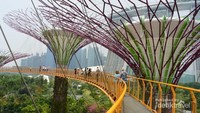 Jembatan gantung ini memiliki panjang 128 meter