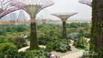 Menikmati Singapura dari Ketinggian OCBC Skyway