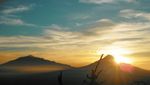 Menikmati Sunrise dan Melihat 4 Gunung dari Puncak Suroloyo Jogja